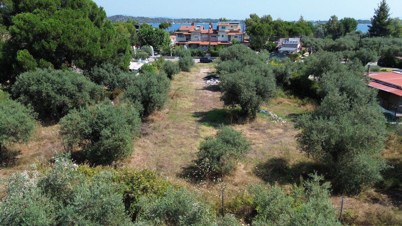 DJI_0401 Medium.jpg